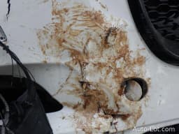 Thumbnail 15